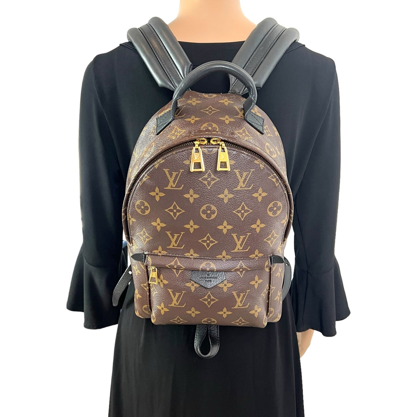 Louis Vuitton Monogram Palm Springs Backpack