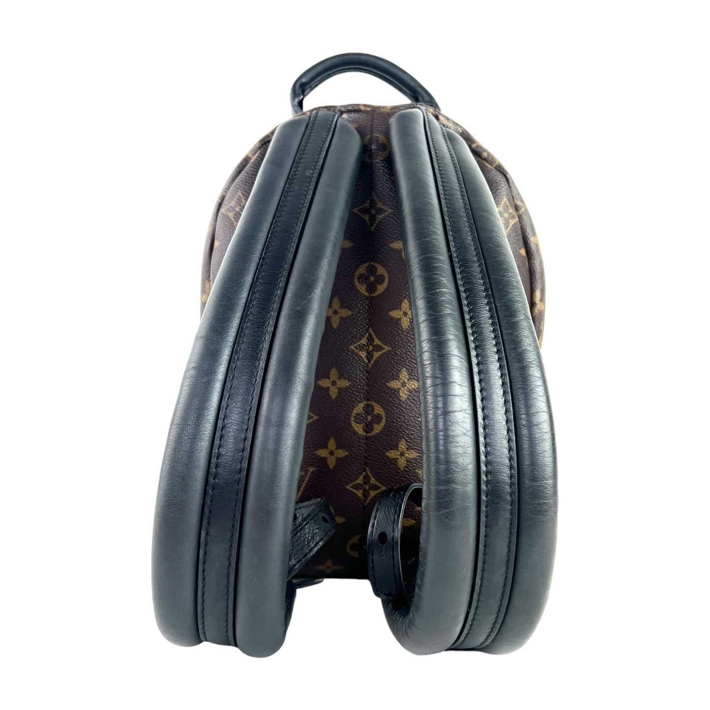 Louis Vuitton Monogram Palm Springs Backpack