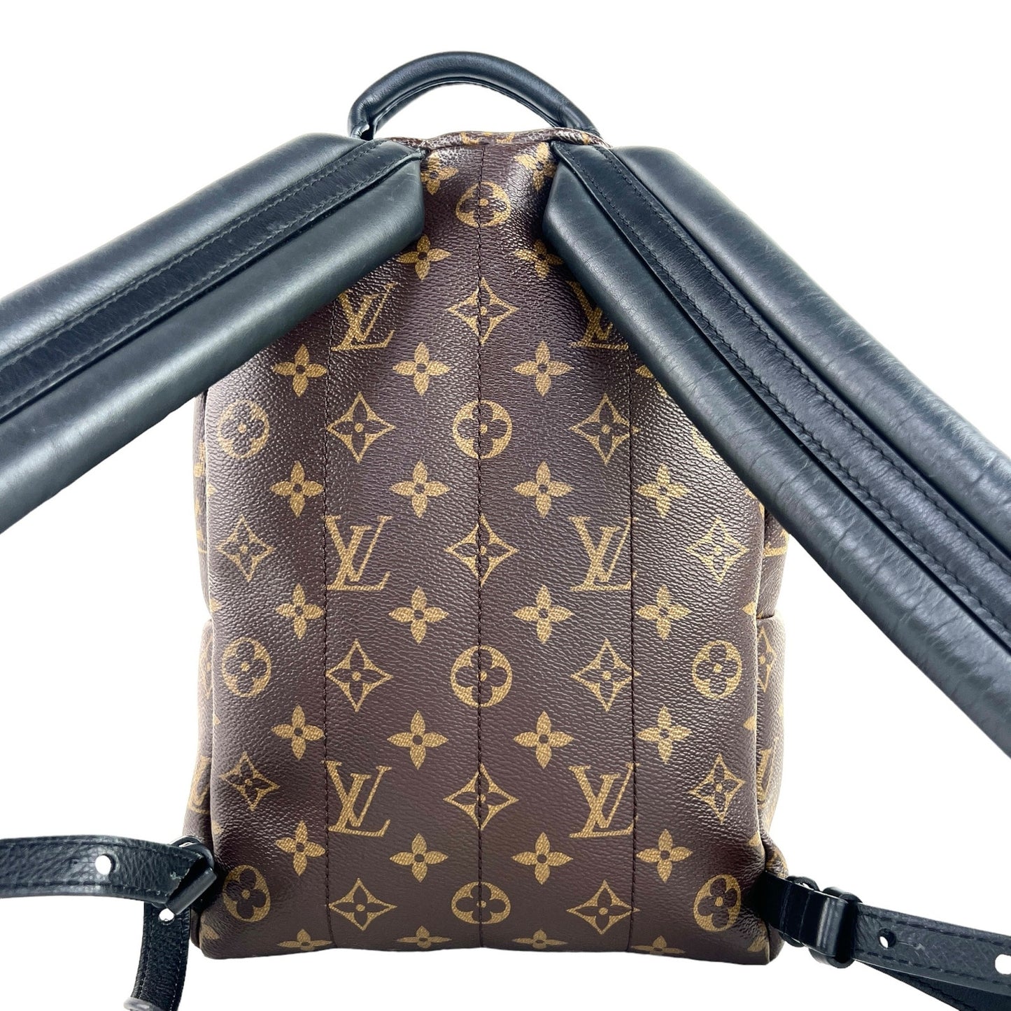 Louis Vuitton Monogram Palm Springs Backpack