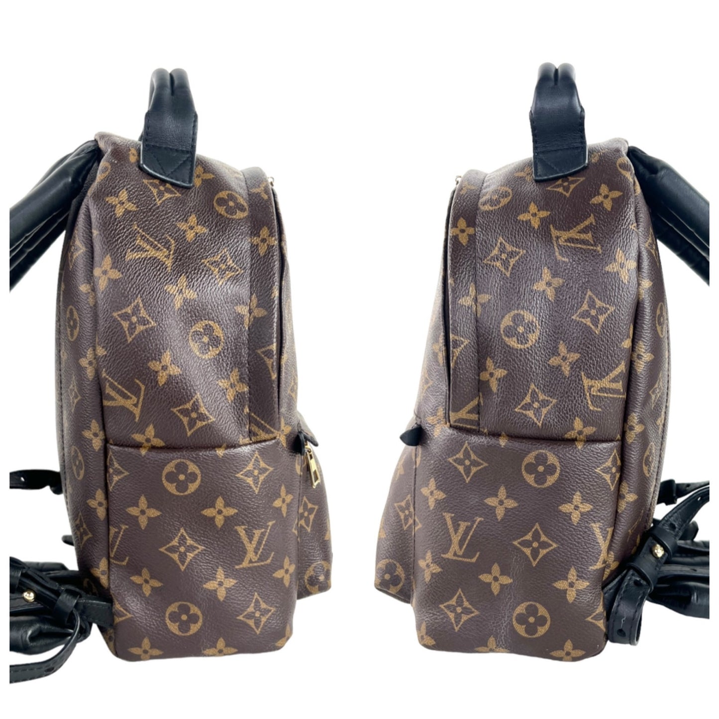 Louis Vuitton Monogram Palm Springs Backpack